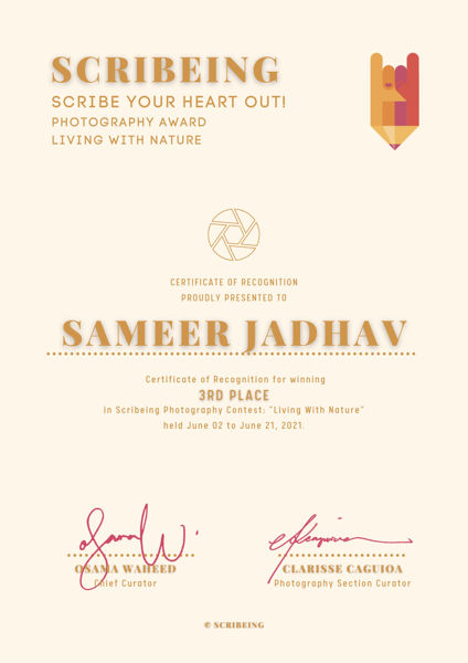 Received 3rd place organised by scribe magazine
