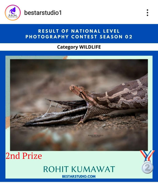 2nd winner in wildlife national lavel compition. And wallmag wedding photo award